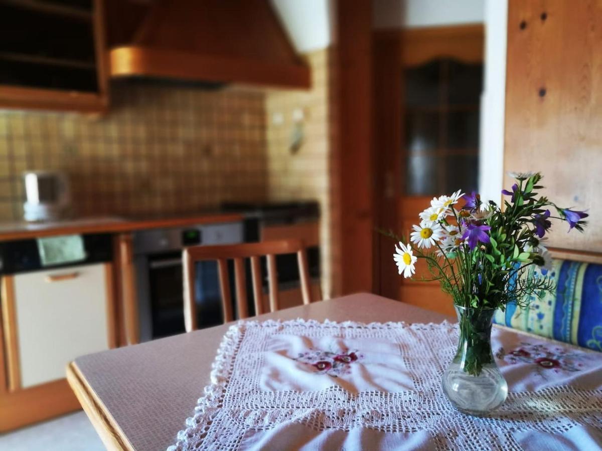 Guesthouse Schoba Typ D Kirchbach  Dış mekan fotoğraf